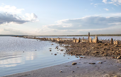 Shoreline Erosion Control