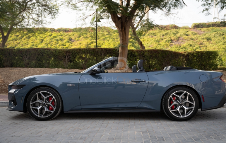 Spacious Car Rentals