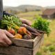Valplekar: How Local Ingredients Shape the Menu
