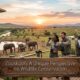 Zooskooñ: A Unique Perspective on Wildlife Conservation