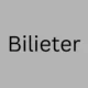 Bilieter: Is It the Best Ticketing Tool for Event Organizers?