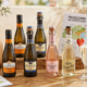 Prosecchini: Understanding Its Meaning, Uses, and Growing Online Interest