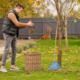 Safely Remove a Tree
