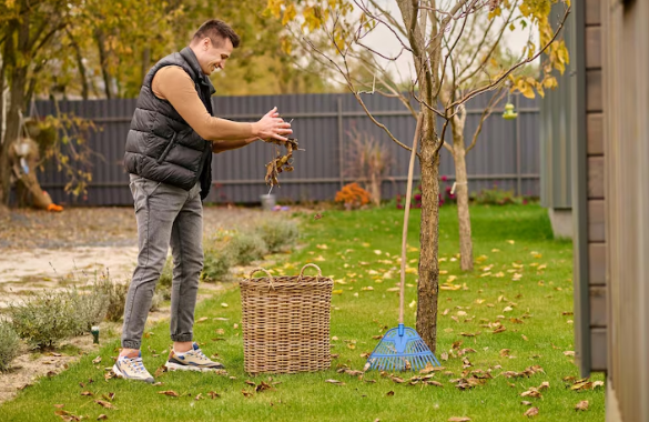 Safely Remove a Tree