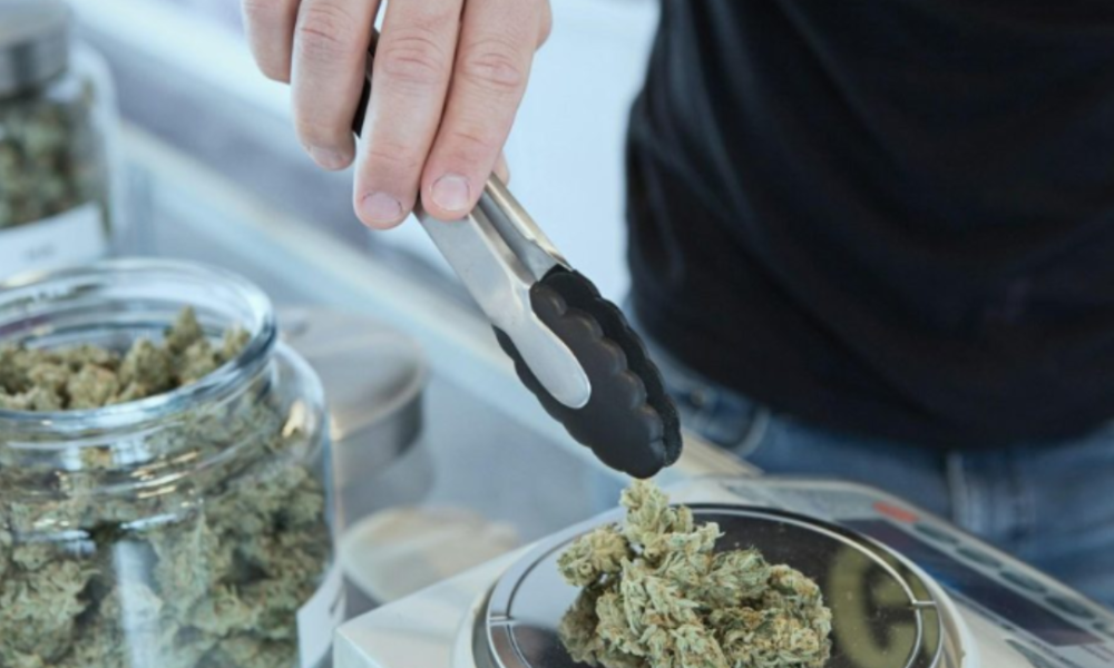 Telehealth Cannabis Certification