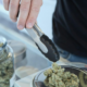 Telehealth Cannabis Certification