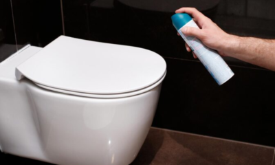 Toilet Mineral