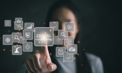 Harouxinn: Digital Strategies for Online Authority