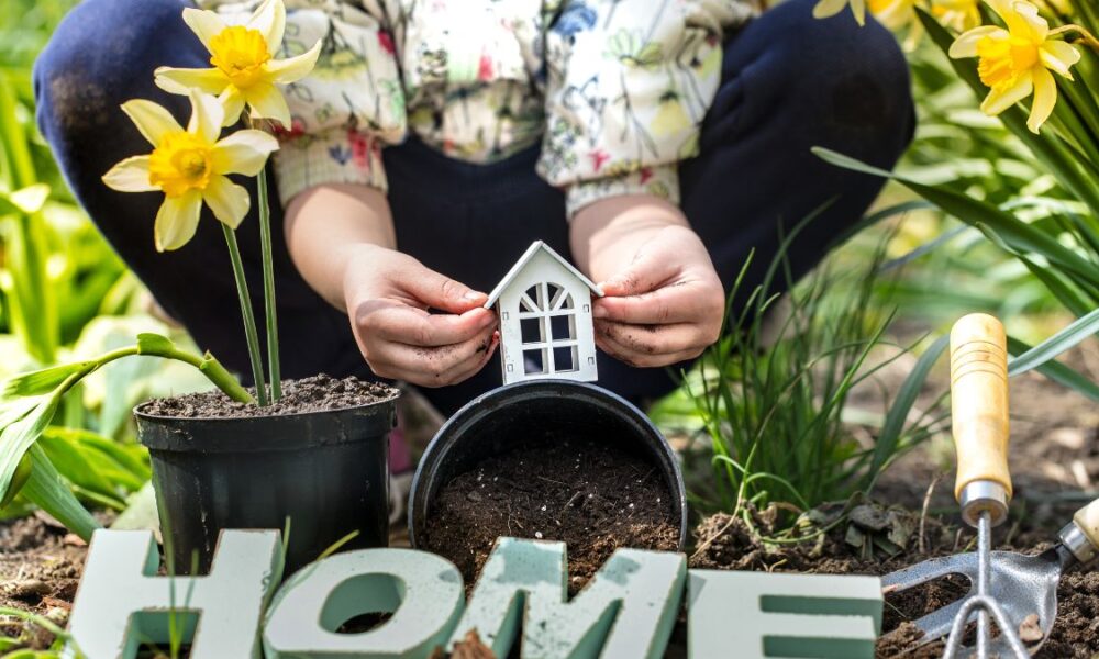 Seasonal Home Maintenance