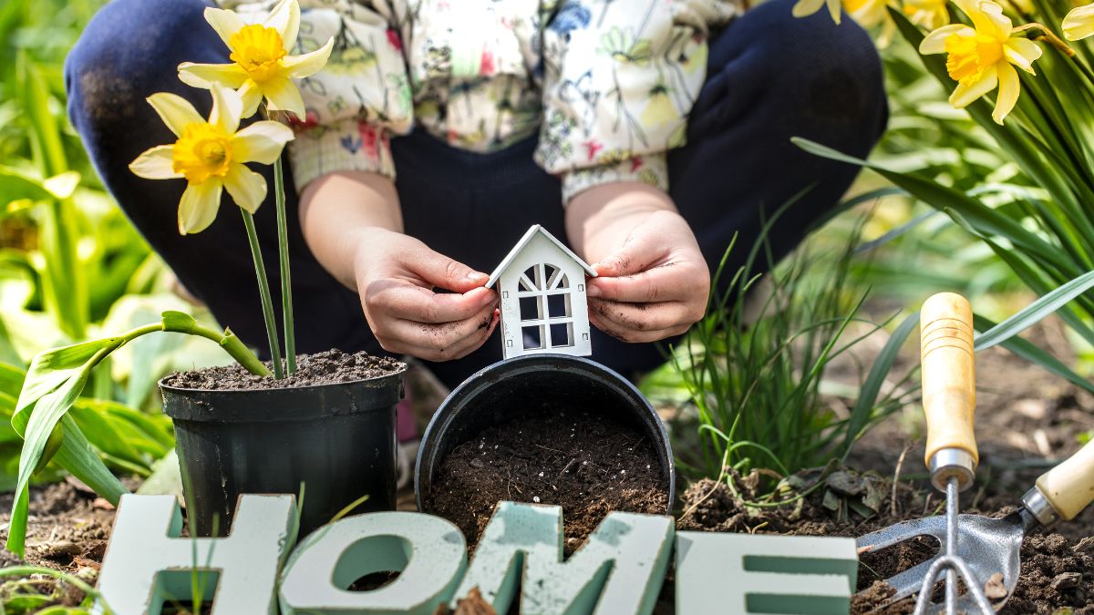 Seasonal Home Maintenance