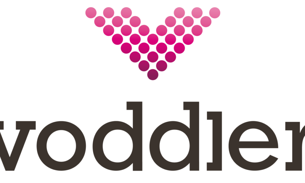 Voddler.co.uk: The Rise of the Spotify for Movies