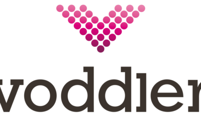 Voddler.co.uk: The Rise of the Spotify for Movies