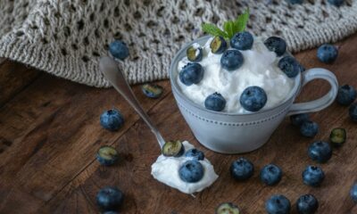best Greek yogurts