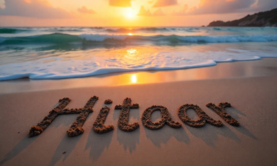 Hitaar: Analyzing the Pulse of a Changing Global Culture