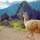 Peru: Best Places to Visit, Eat, and Stay