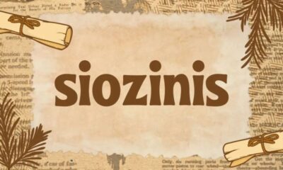 Siozinis: Living Inside the Baltic Stand-Up Circle
