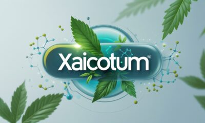Xaicotum: How Malicious Smart Contracts Drain Wallets