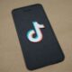 TikTok's Early Engagement