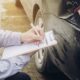 Car Accident Attorney in San Diego