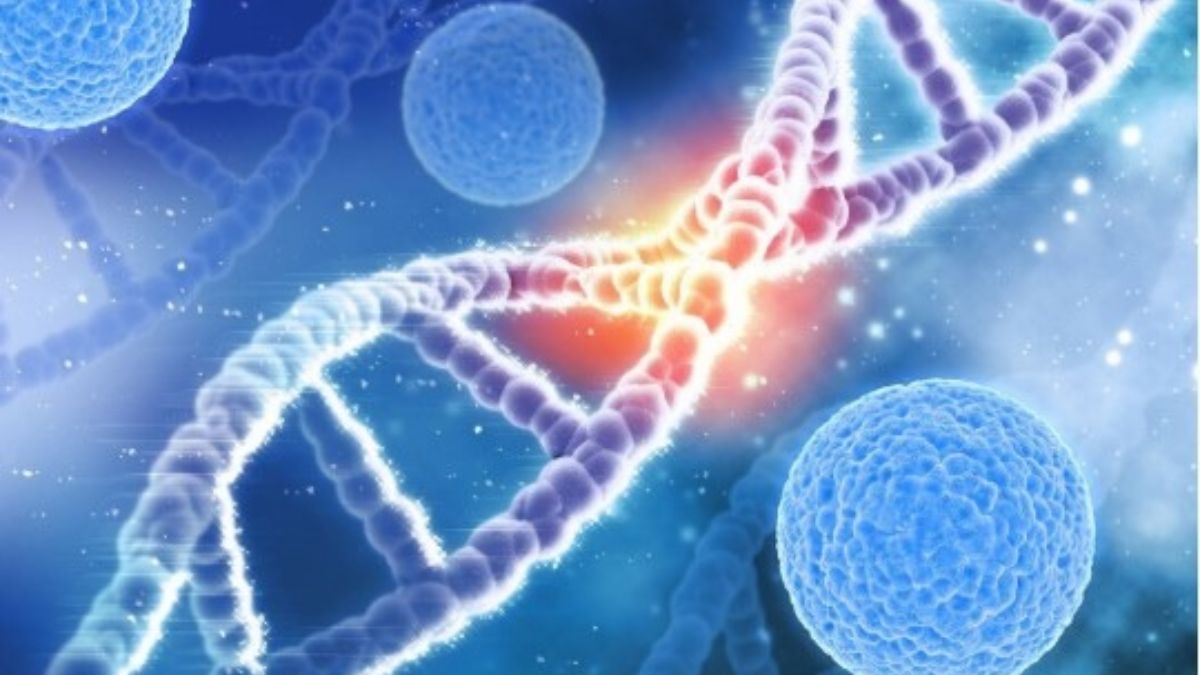 Cellular Communication