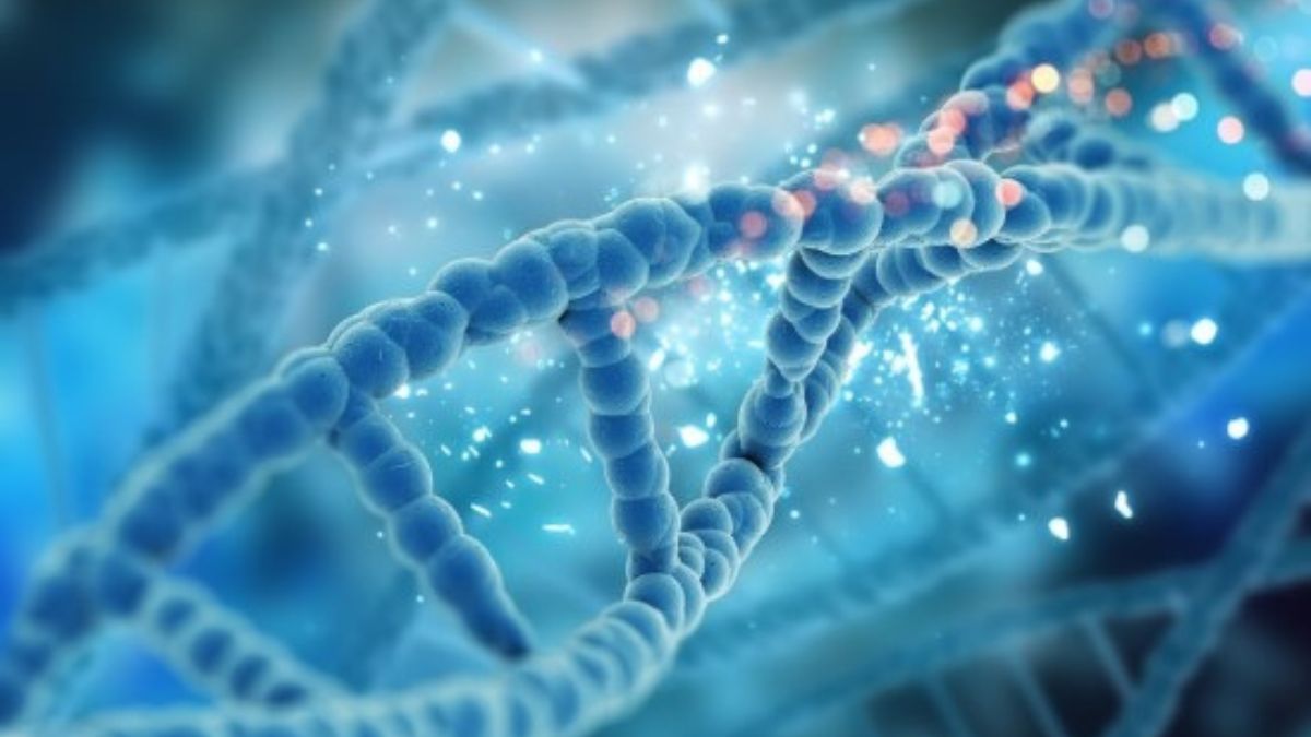 Cellular Communication