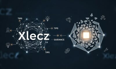 Xlecz: From Obscurity to Search Interest in the Digital Age